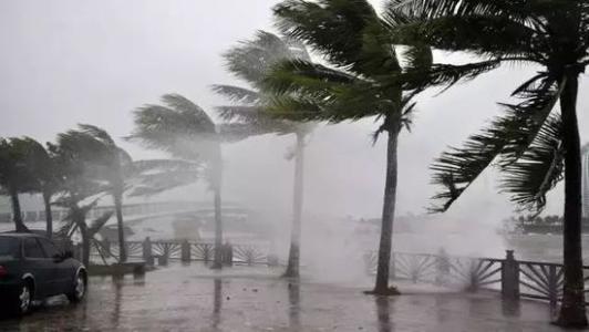 8月臺(tái)風(fēng)雨即將來(lái)，除濕機(jī)還得用起來(lái)