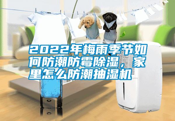 2022年梅雨季節(jié)如何防潮防霉除濕，家里怎么防潮抽濕機(jī)