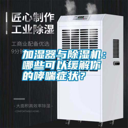 加濕器與除濕機：哪些可以緩解你的哮喘癥狀？