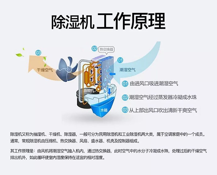 中藥材怎么烘干不變色？中藥材烘干用除濕機