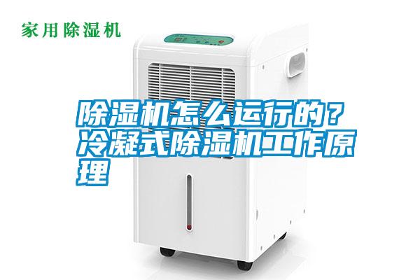 除濕機(jī)怎么運(yùn)行的？冷凝式除濕機(jī)工作原理