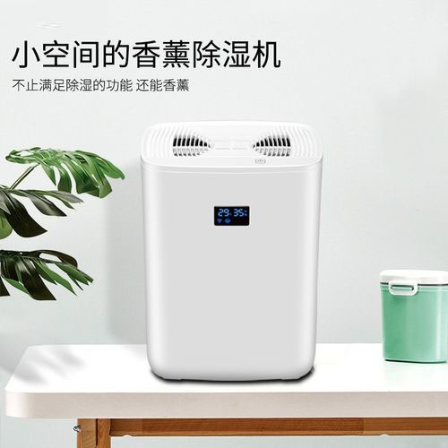 清明過后，潮氣噠噠，怎么除潮？