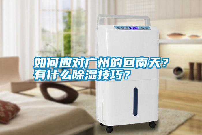 如何應(yīng)對(duì)廣州的回南天？有什么除濕技巧？