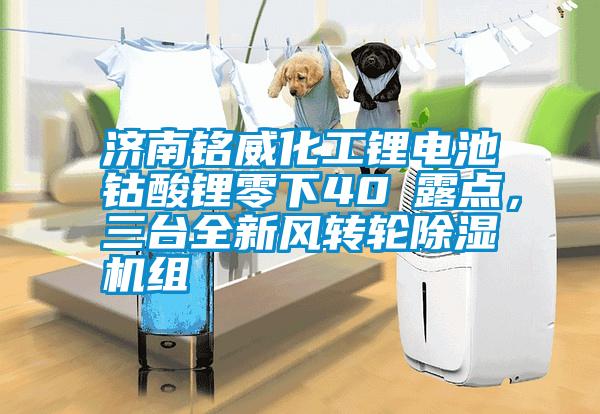 濟(jì)南銘威化工鋰電池鈷酸鋰零下40℃露點(diǎn)，三臺(tái)全新風(fēng)轉(zhuǎn)輪除濕機(jī)組