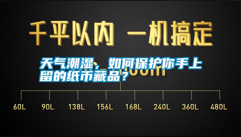 天氣潮濕，如何保護(hù)你手上留的紙幣藏品？