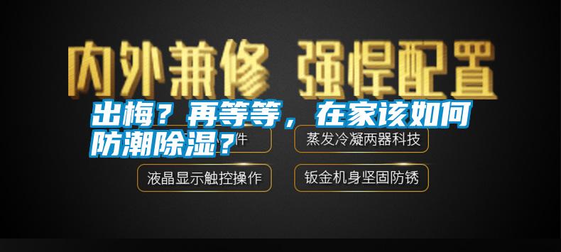 出梅？再等等，在家該如何防潮除濕？