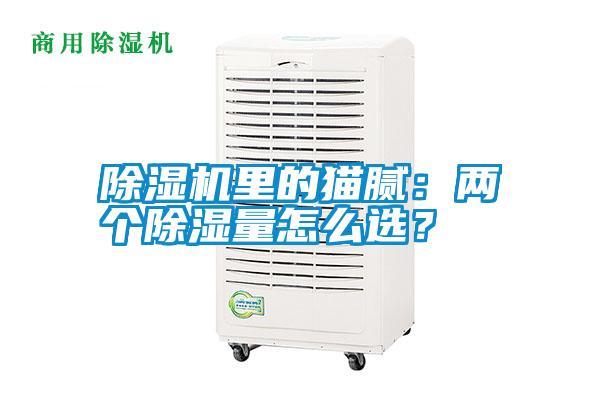 除濕機里的貓膩：兩個除濕量怎么選？