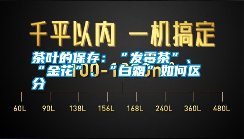 茶葉的保存：“發(fā)霉茶”、“金花”、“白霜”如何區(qū)分