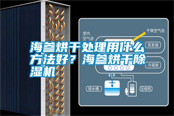 海參烘干處理用什么方法好？海參烘干除濕機(jī)