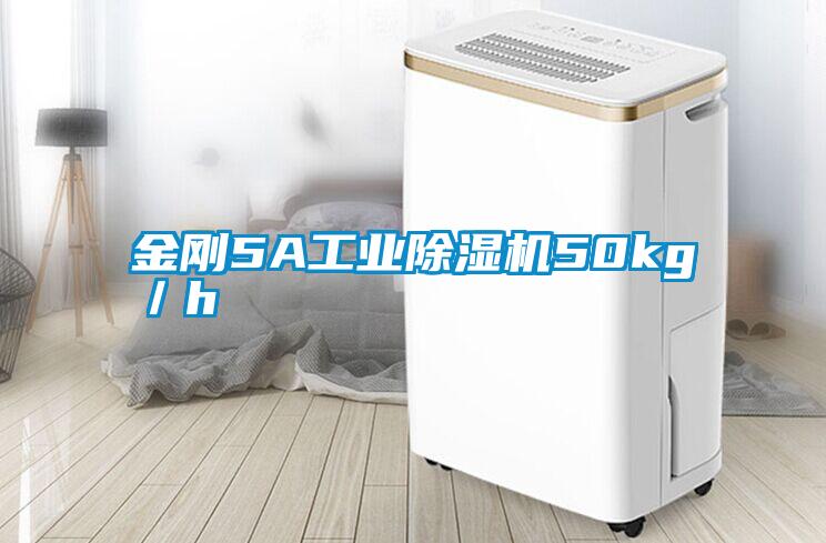 金剛5A工業(yè)除濕機50kg／h