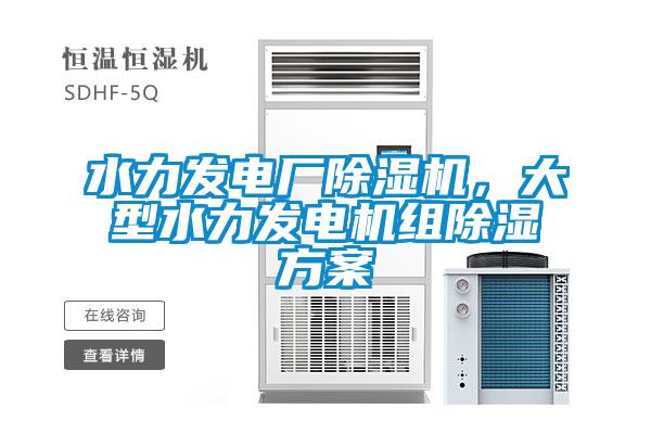 水力發(fā)電廠除濕機，大型水力發(fā)電機組除濕方案