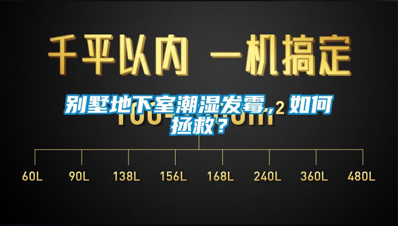 別墅地下室潮濕發(fā)霉，如何拯救？