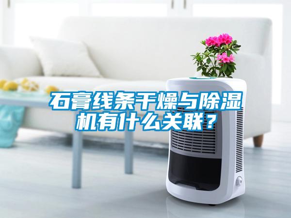 石膏線條干燥與除濕機有什么關(guān)聯(lián)？