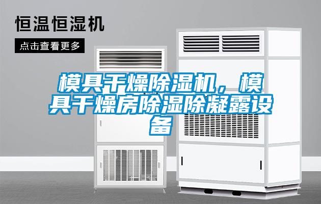 模具干燥除濕機，模具干燥房除濕除凝露設備