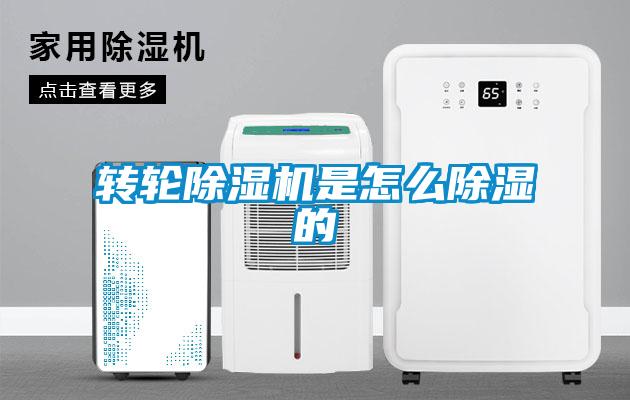 轉輪除濕機是怎么除濕的