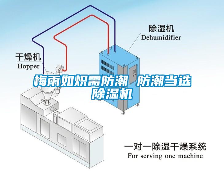 梅雨如熾需防潮 防潮當(dāng)選除濕機