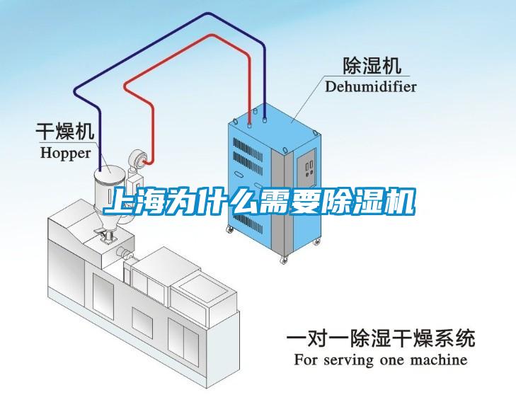 上海為什么需要除濕機(jī)