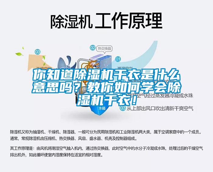 你知道除濕機干衣是什么意思嗎？教你如何學會除濕機干衣！