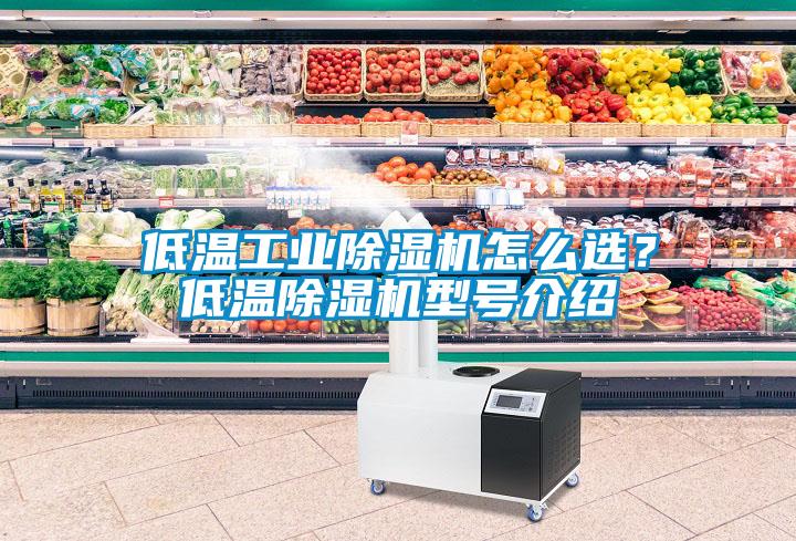 低溫工業(yè)除濕機怎么選？低溫除濕機型號介紹