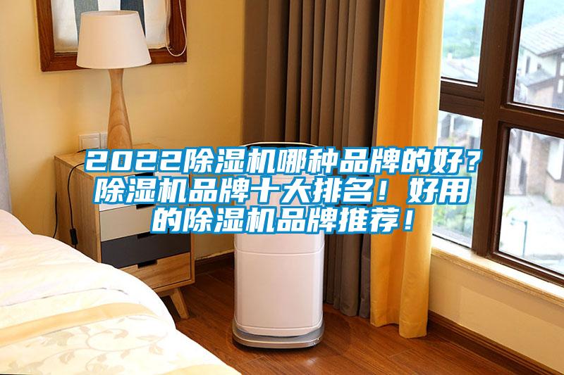 2022除濕機哪種品牌的好？除濕機品牌十大排名！好用的除濕機品牌推薦！