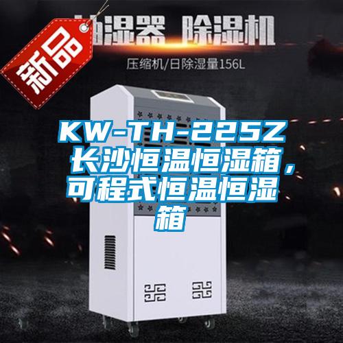 KW-TH-225Z 長(zhǎng)沙恒溫恒濕箱，可程式恒溫恒濕箱