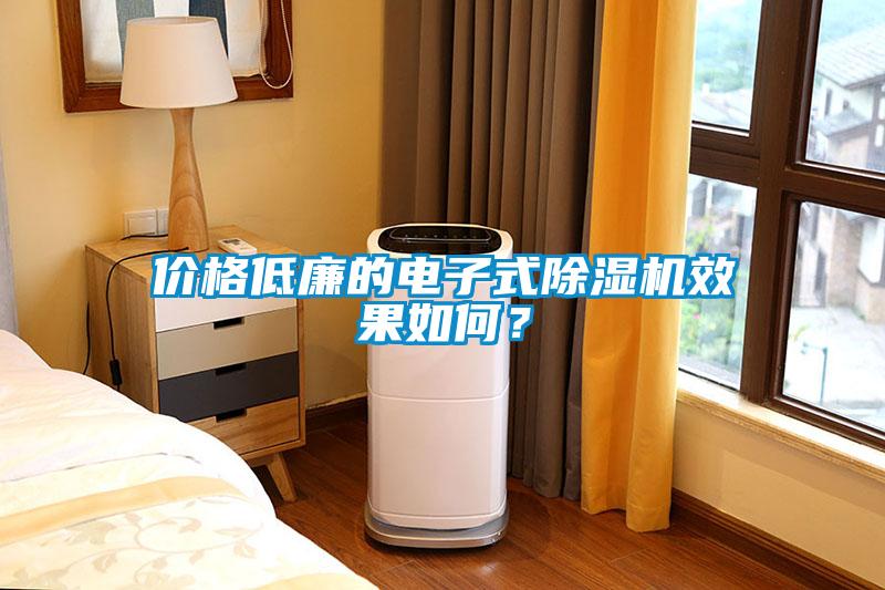 價格低廉的電子式除濕機效果如何？