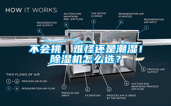 不會挑，難怪還是潮濕！除濕機怎么選？