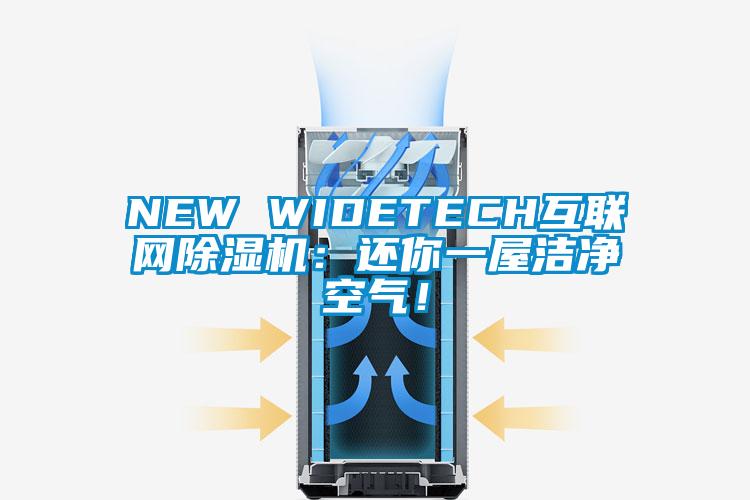 NEW WIDETECH互聯(lián)網(wǎng)除濕機(jī)：還你一屋潔凈空氣！