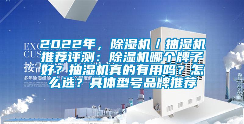 2022年，除濕機／抽濕機推薦評測：除濕機哪個牌子好？抽濕機真的有用嗎？怎么選？具體型號品牌推薦