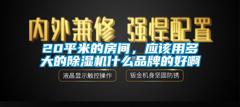 20平米的房間，應該用多大的除濕機什么品牌的好啊