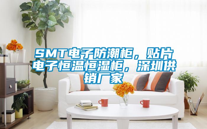 SMT電子防潮柜，貼片電子恒溫恒濕柜，深圳供銷廠家