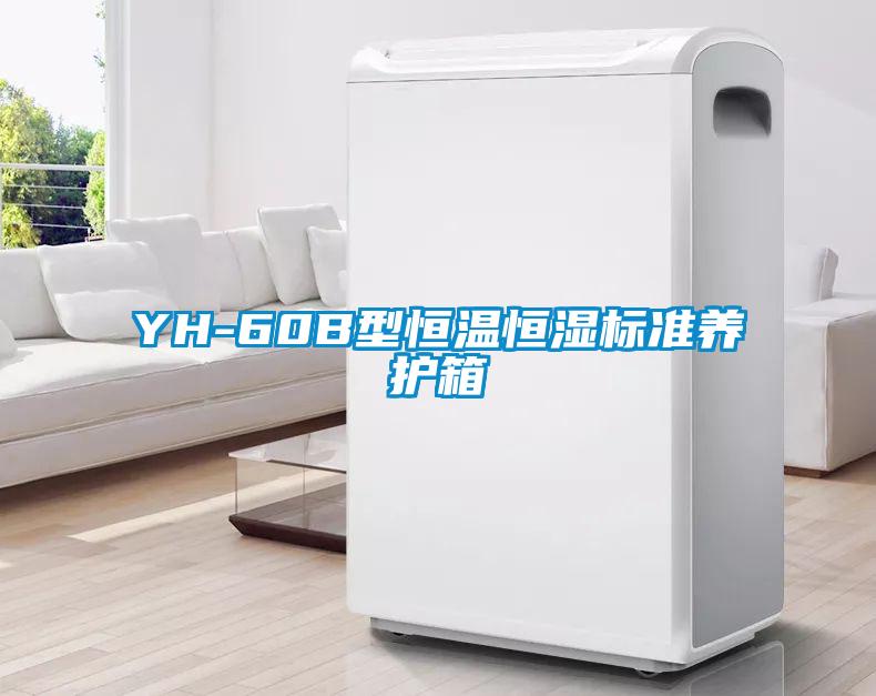 YH-60B型恒溫恒濕標準養(yǎng)護箱