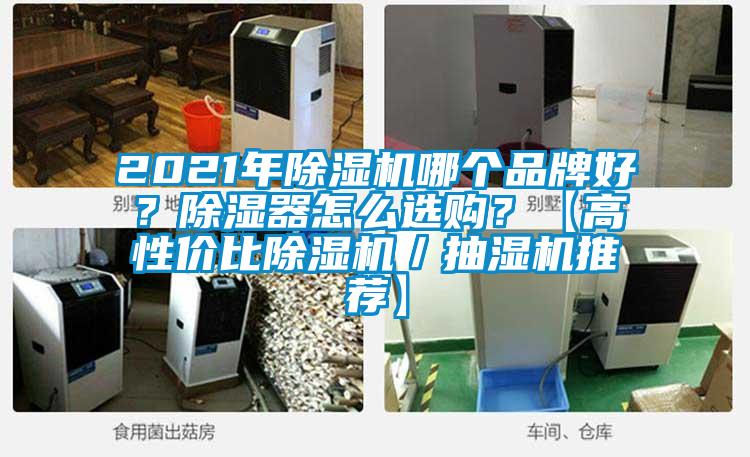 2021年除濕機哪個品牌好？除濕器怎么選購？【高性價比除濕機／抽濕機推薦】