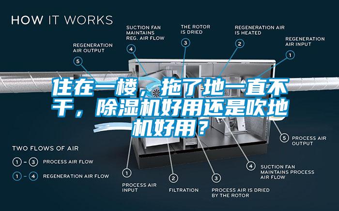 住在一樓，拖了地一直不干，除濕機好用還是吹地機好用？