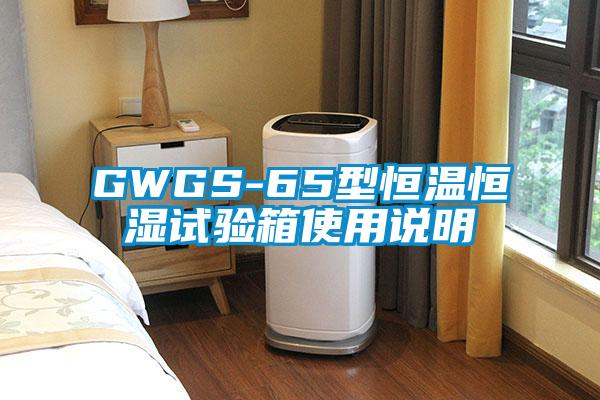 GWGS-65型恒溫恒濕試驗(yàn)箱使用說明