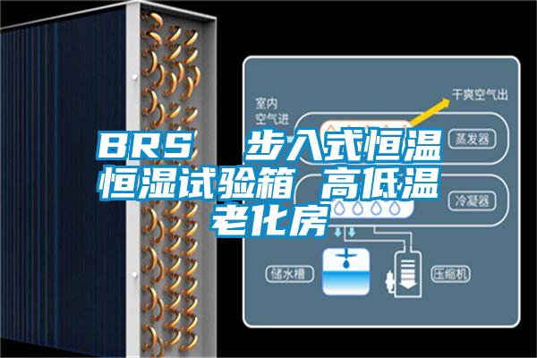 BRS  步入式恒溫恒濕試驗(yàn)箱 高低溫老化房