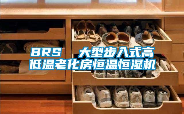 BRS  大型步入式高低溫老化房恒溫恒濕機