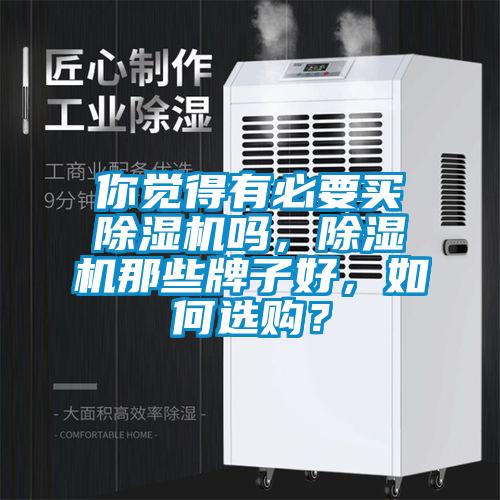 你覺得有必要買除濕機嗎，除濕機那些牌子好，如何選購？