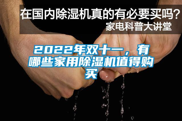 2022年雙十一，有哪些家用除濕機值得購買