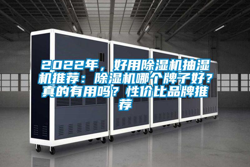 2022年，好用除濕機抽濕機推薦：除濕機哪個牌子好？真的有用嗎？性價比品牌推薦