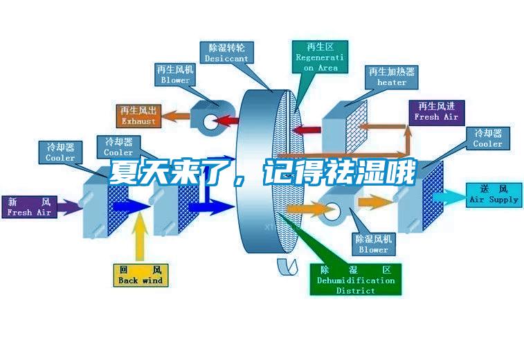 夏天來了，記得祛濕哦