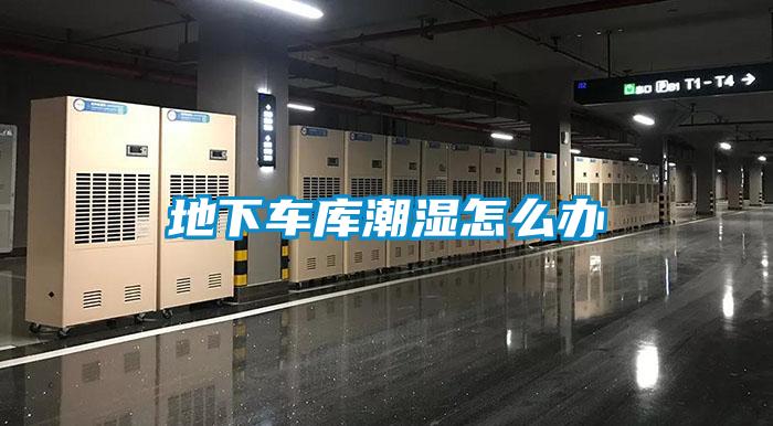 地下車庫(kù)潮濕怎么辦