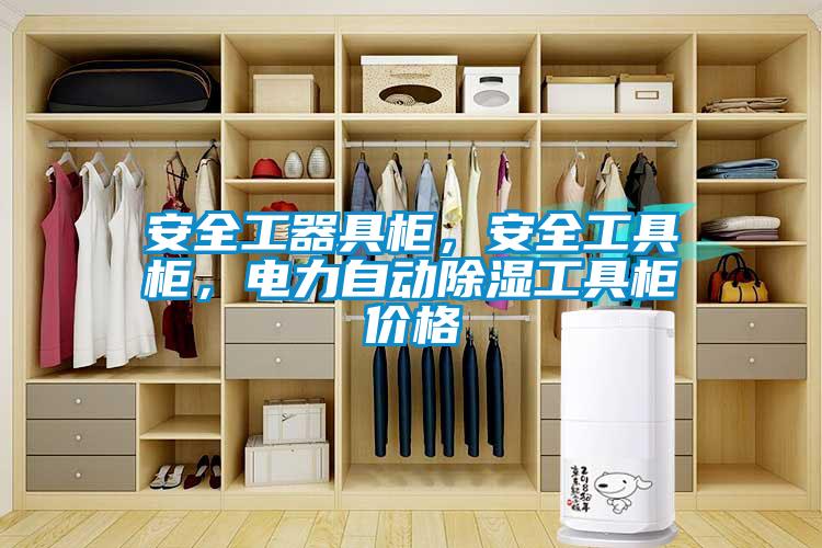 安全工器具柜，安全工具柜，電力自動除濕工具柜價格