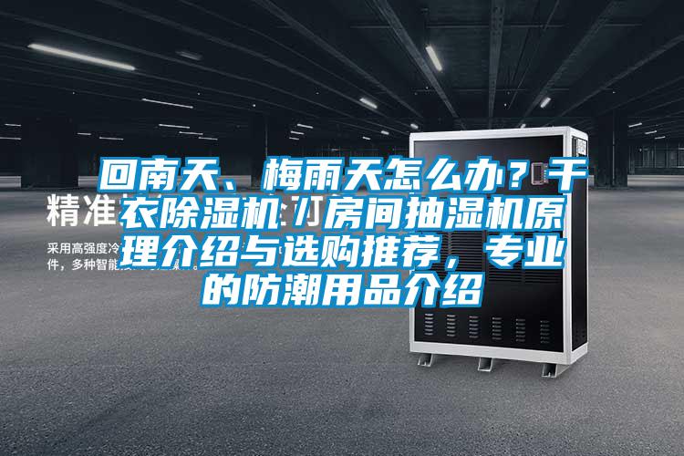 回南天、梅雨天怎么辦？干衣除濕機／房間抽濕機原理介紹與選購推薦，專業(yè)的防潮用品介紹