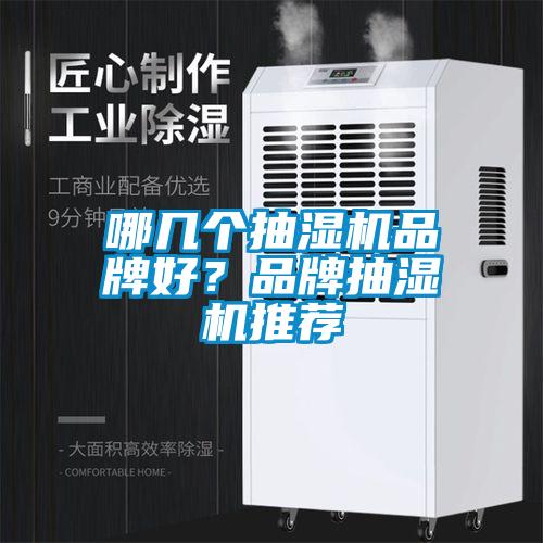 哪幾個(gè)抽濕機(jī)品牌好？品牌抽濕機(jī)推薦