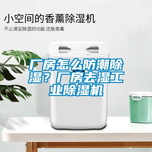 廠房怎么防潮除濕？廠房去濕工業(yè)除濕機(jī)