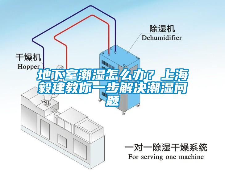 地下室潮濕怎么辦？上海毅建教你一步解決潮濕問題