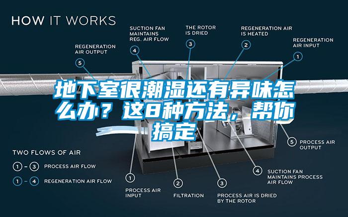 地下室很潮濕還有異味怎么辦？這8種方法，幫你搞定