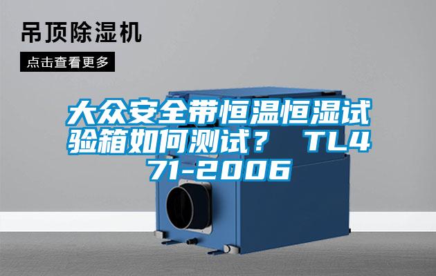 大眾安全帶恒溫恒濕試驗箱如何測試？ TL471-2006