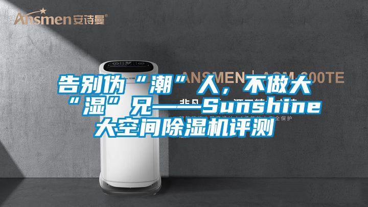 告別偽“潮”人，不做大“濕”兄——Sunshine大空間除濕機評測